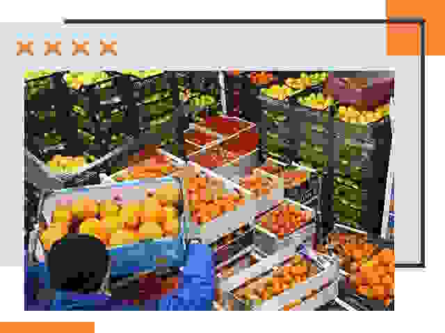 Перевозка скоропортящихся продуктов в Вязьме